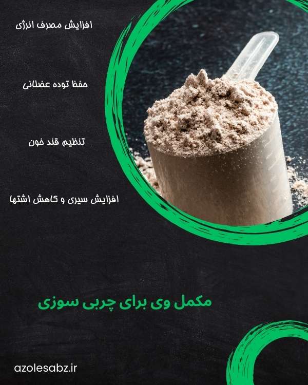 مکانیزم پروتئین وی برای چربی سوزی 